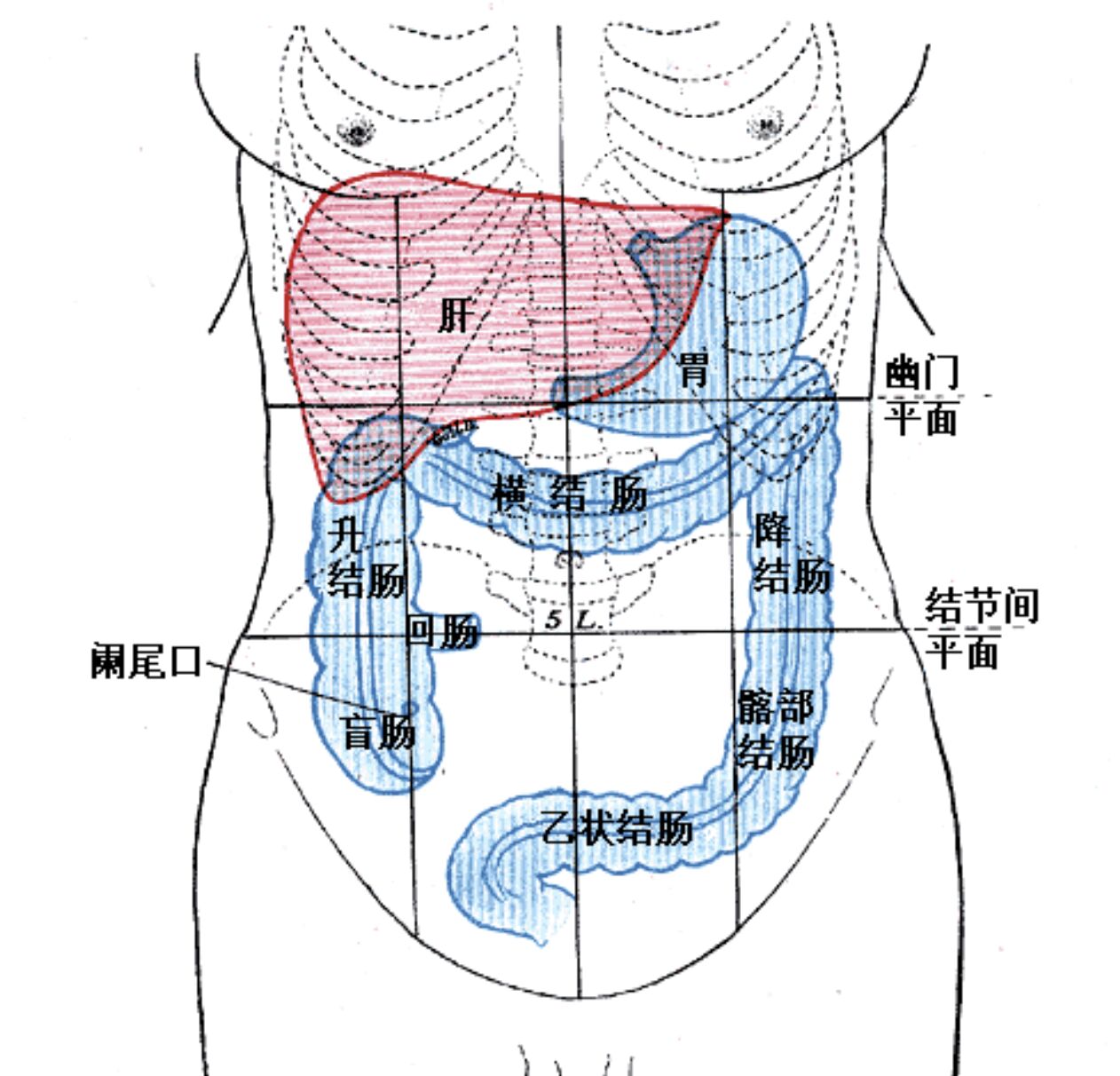 6a5751f773ca3.jpg