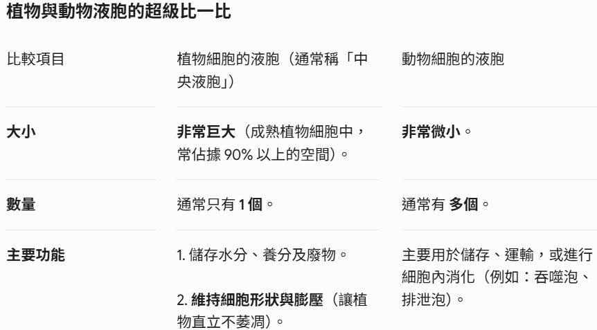 6a5861ced3199.jpg