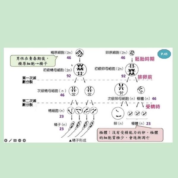 6a5a415e99227.jpg