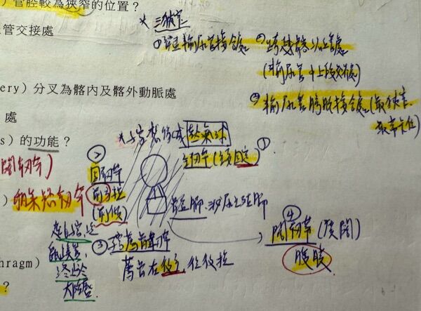 6a5d830929555.jpg