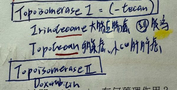 6a5d8de050cd9.jpg