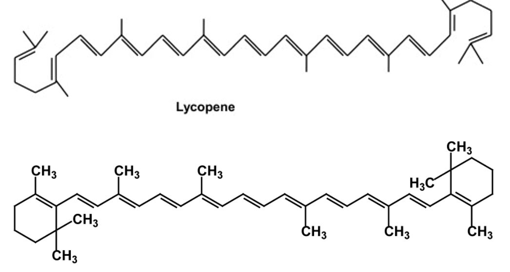 6a5dcf77be26c.jpg