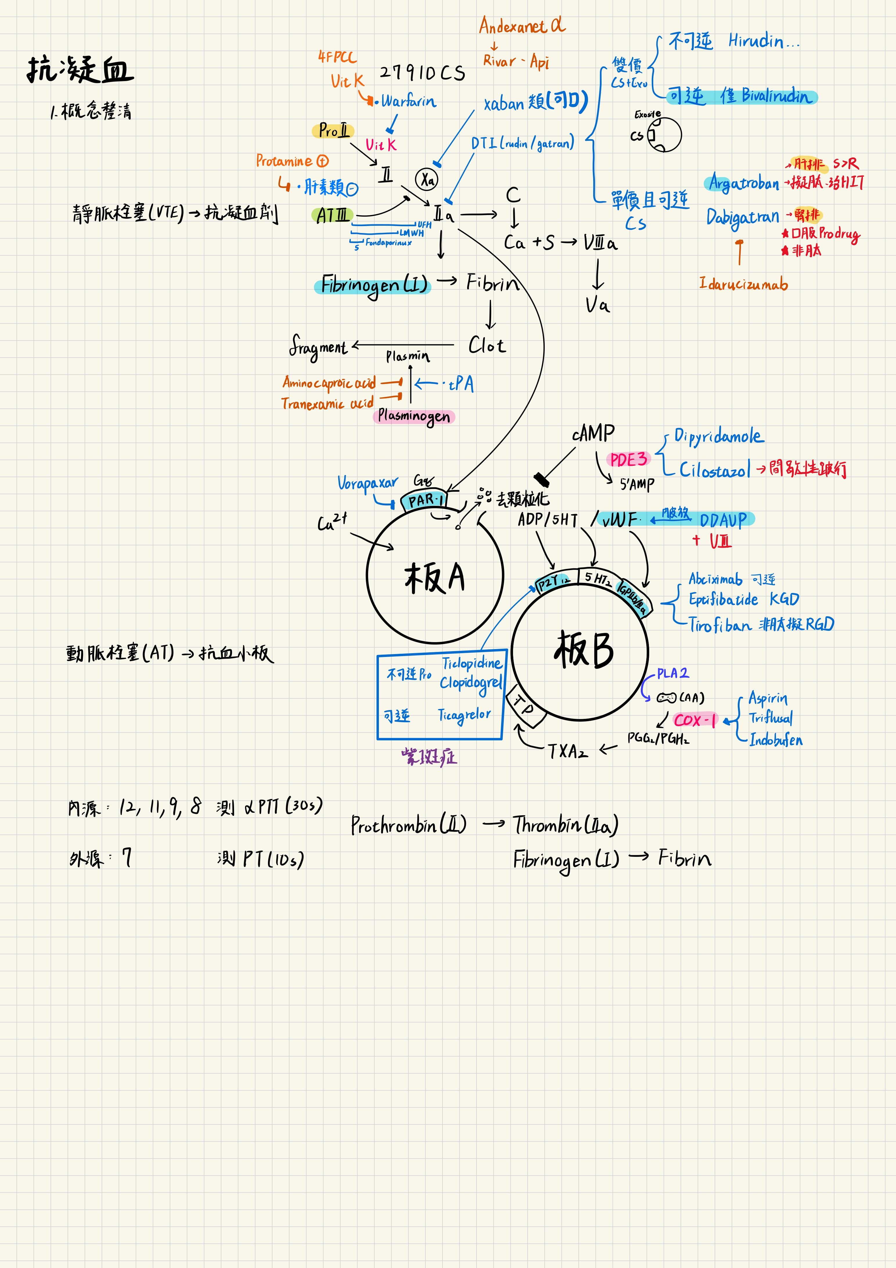 6a5e008edb0be.jpg