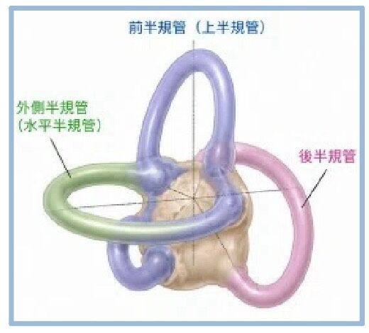 6a5e27fbb0109.jpg