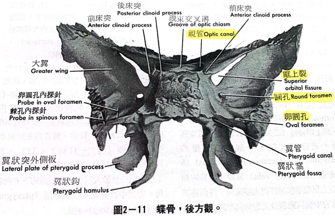 6a5f3582c47ba.jpg
