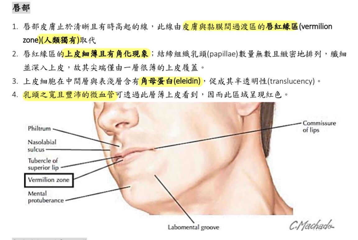 6a5f44b3692bf.jpg