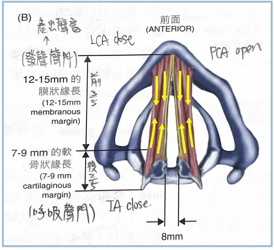 6a60760ab416b.jpg