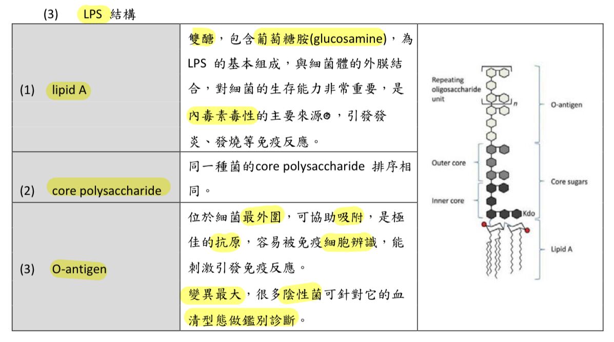 6a60cdac74942.jpg