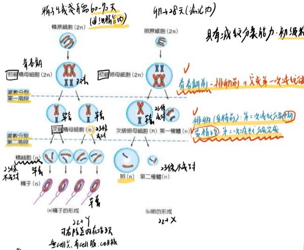 6a617532c5cde.jpg