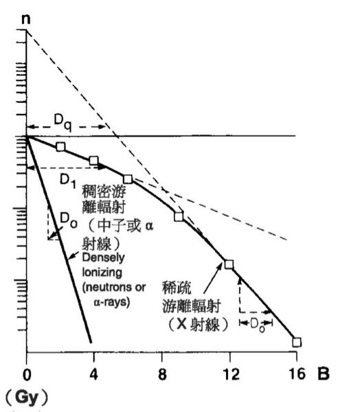 6a61b25346fa9.jpg