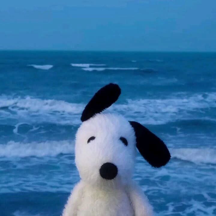 考試加油