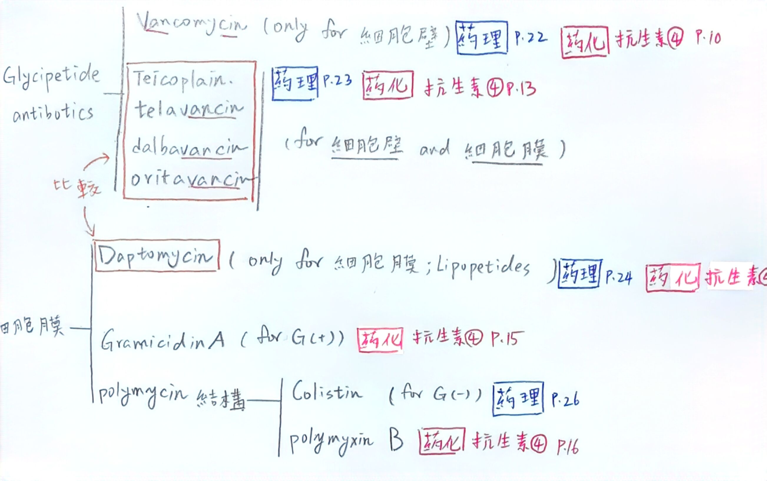 6a69ce9620439.jpg