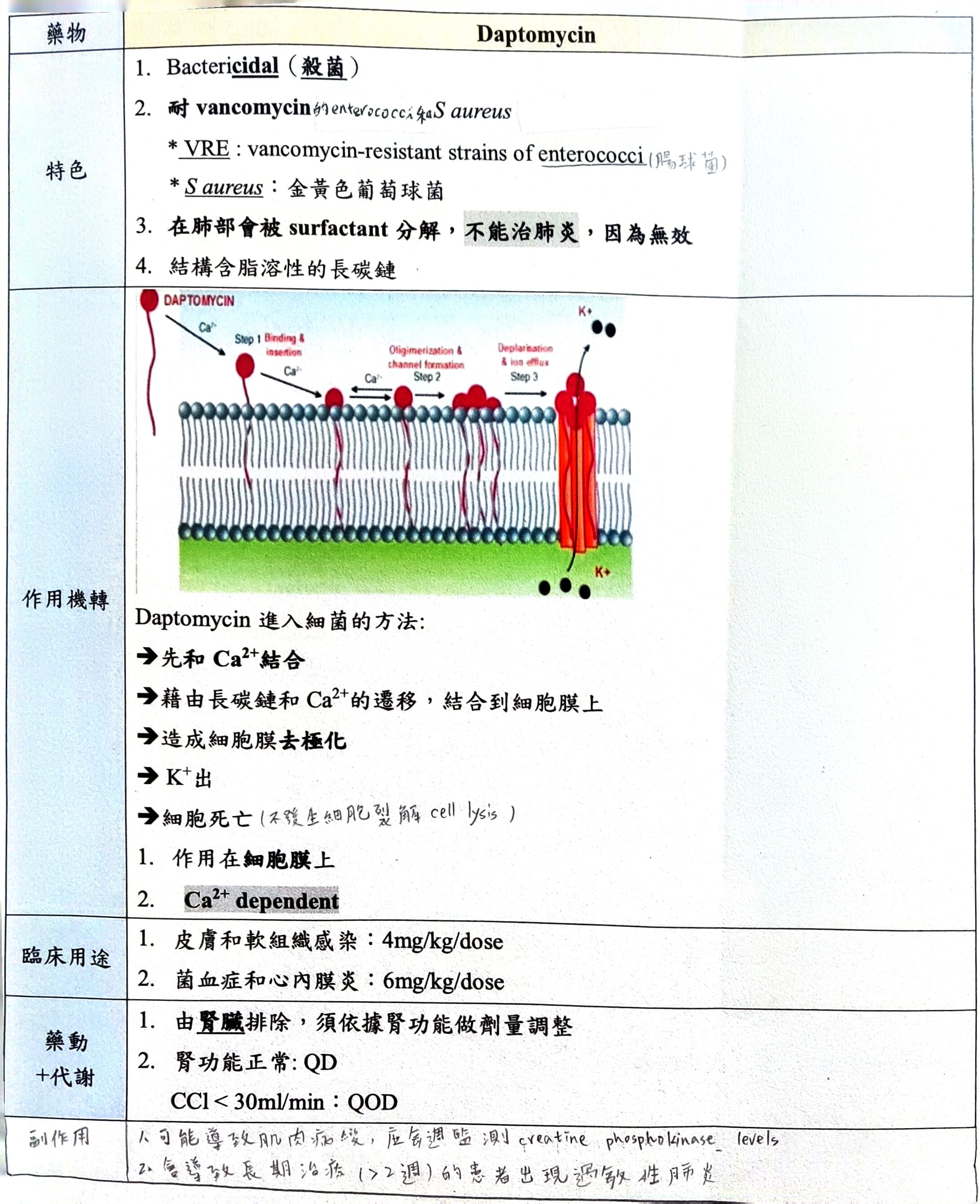 6a69cfdc101d4.jpg