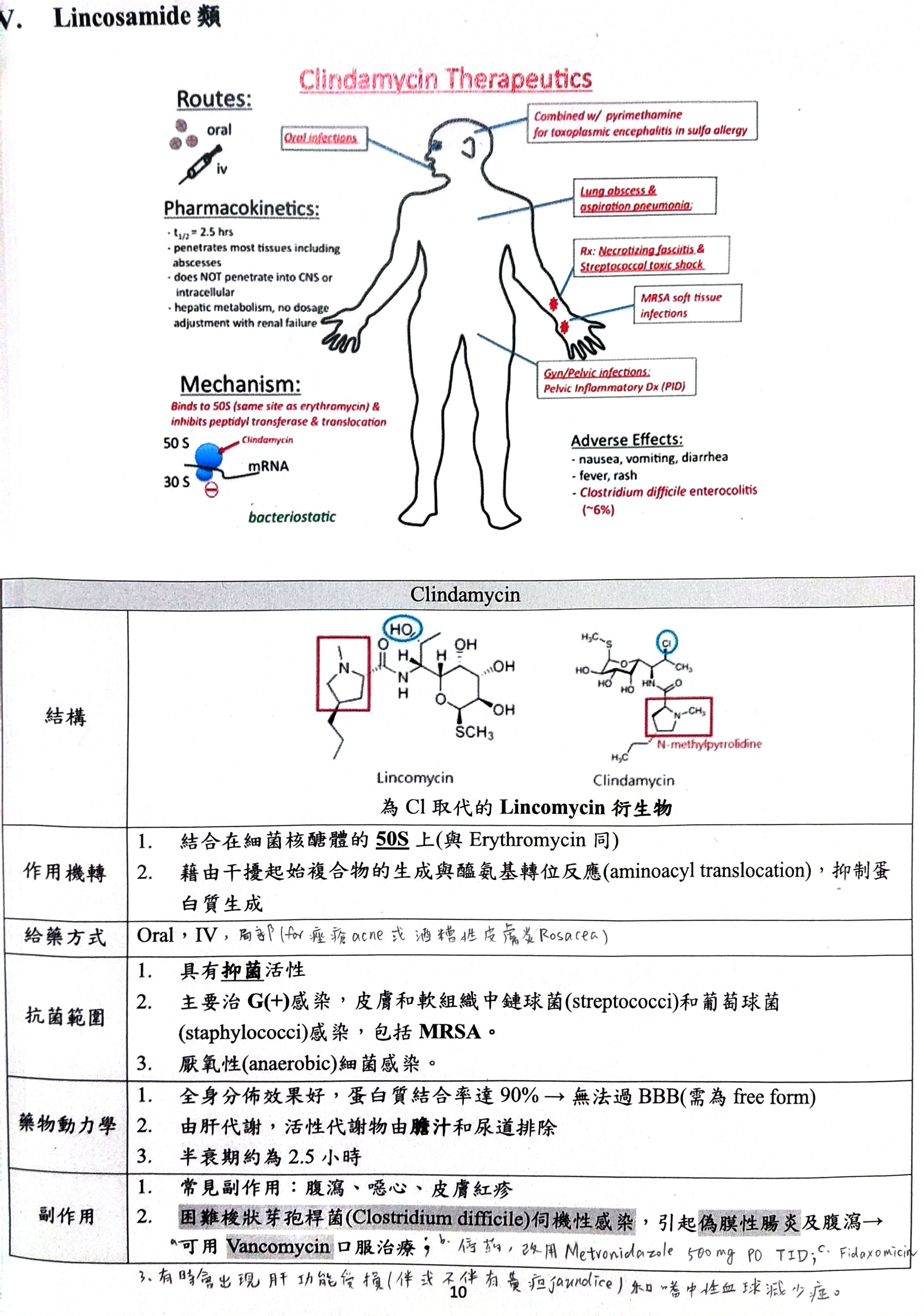 6a69d1c0de773.jpg