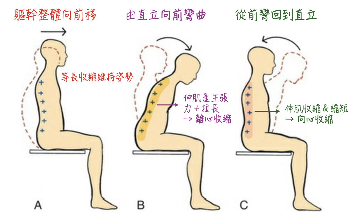 6a6b0ca10942d.jpg