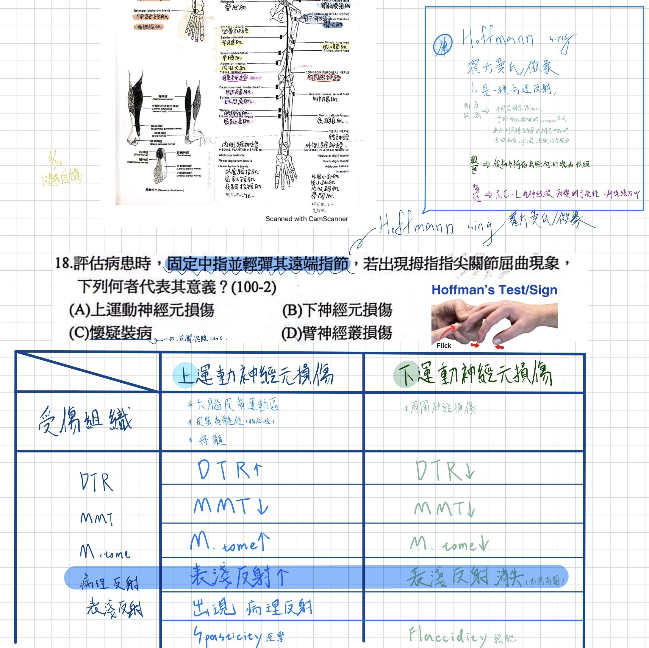 6a7178428a1f2.jpg