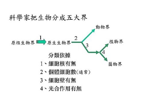 6a7d7ebc9b388.jpg