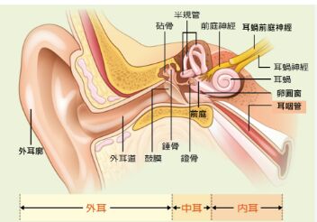 6a9bd209b82a8.jpg