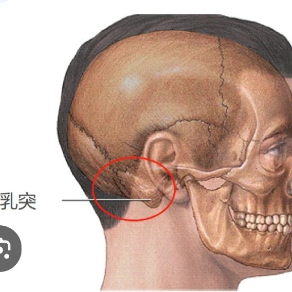 6a9be2ddb39ae.jpg