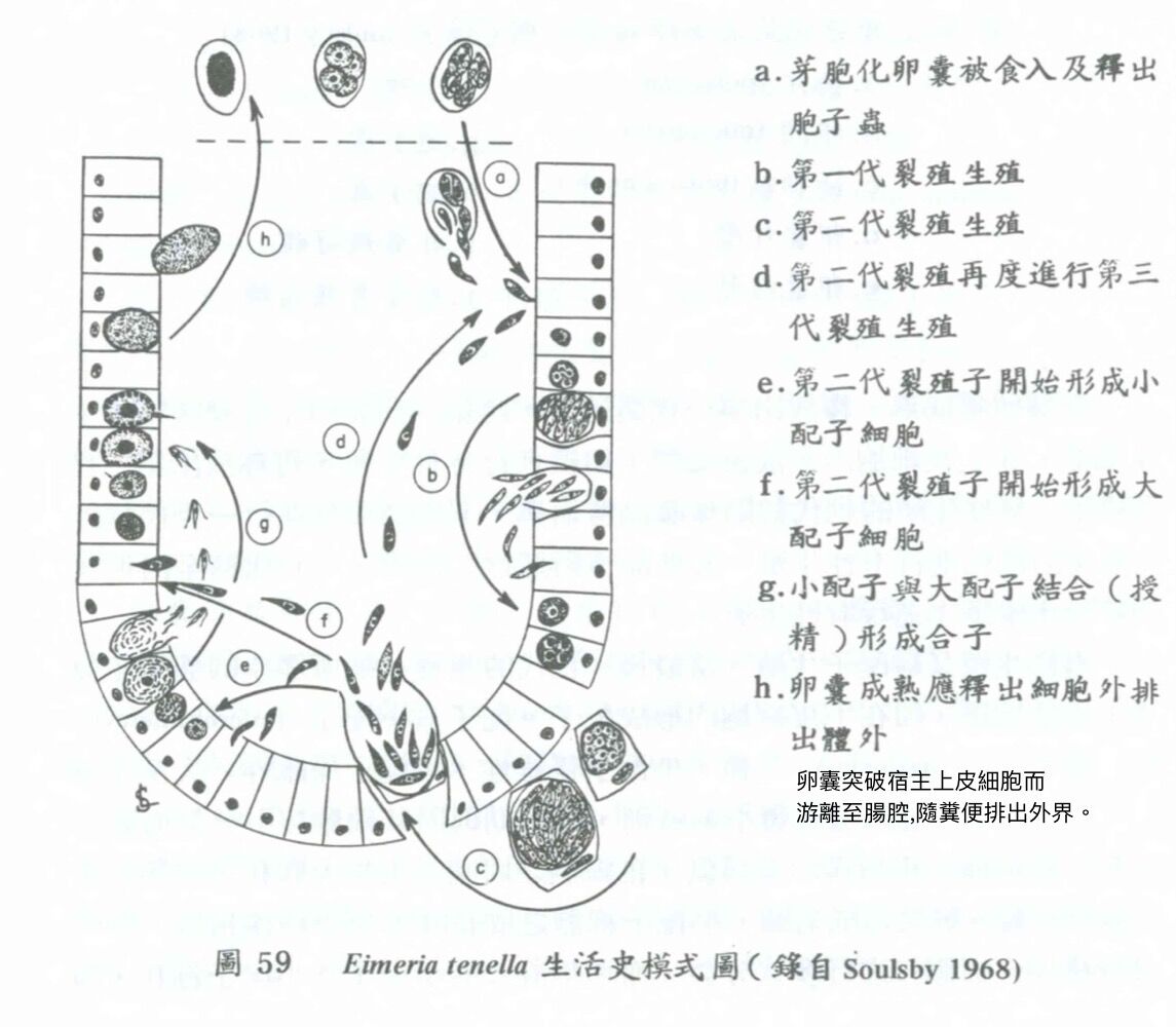 6aa542ce7c3c6.jpg