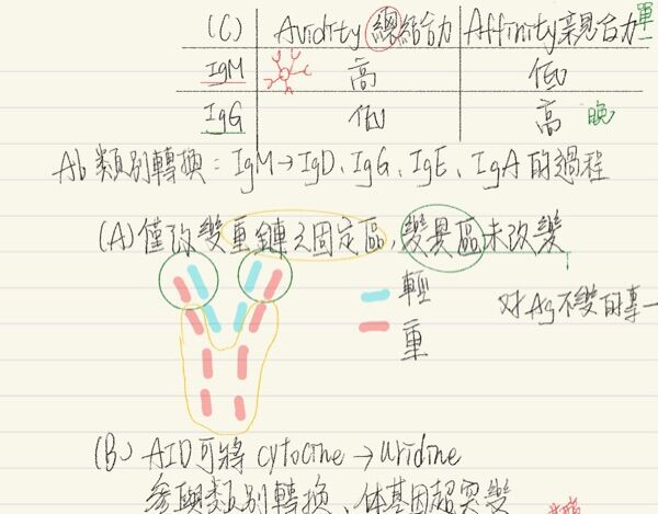 6aadff853c16d.jpg