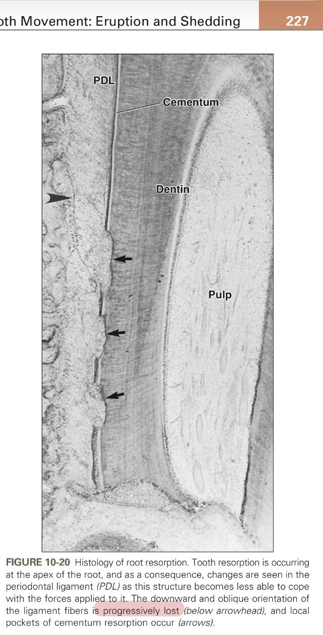 6aae1b42c6142.jpg