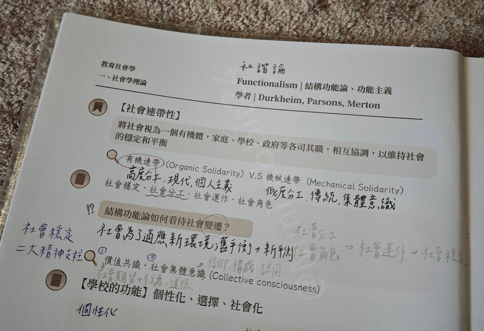 6aae37863e307.jpg