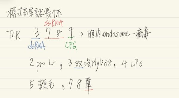 6aaf36566a1b0.jpg