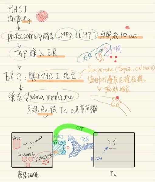6aaf3fd1222b2.jpg