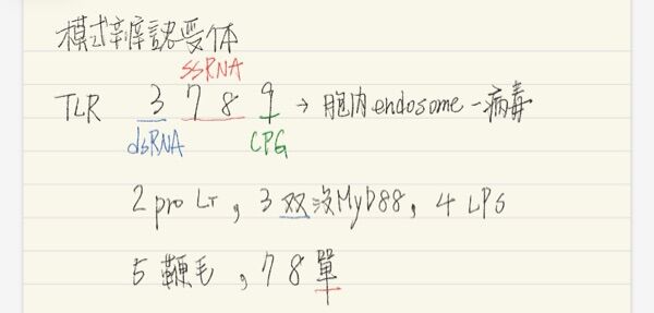 6ab374e0e5c50.jpg
