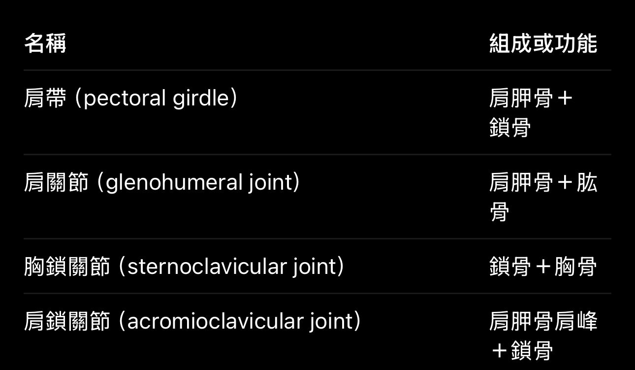 6accdc86e612b.jpg