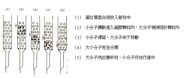 7b737808f4a9125ac0003c.png#s-642,270