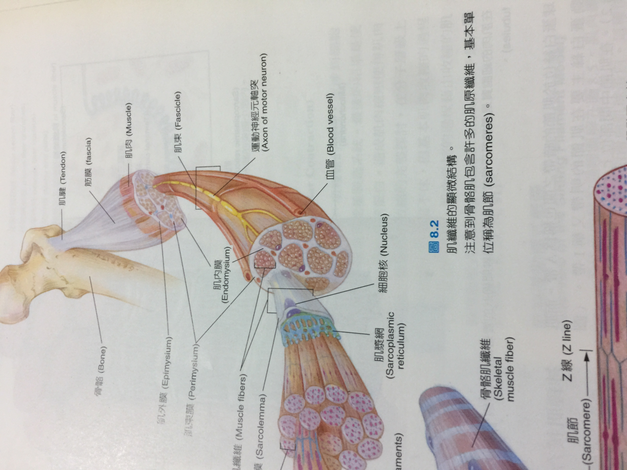 e1bd6a9b2aa19ba9fcd42d.png#s-1280,960