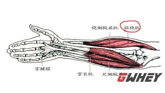 e7c109bc0ab87191ffdfd1.png#s-530,300