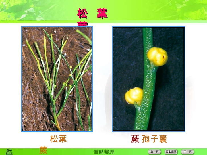 f7039e60d2f47ecefa285d.png#s-728,546