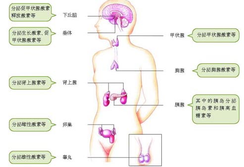 php7c4Aw6.png#s-493,338