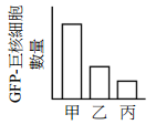 phpP50PkX