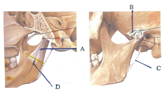 phpgHcot4