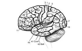 phpoeO311