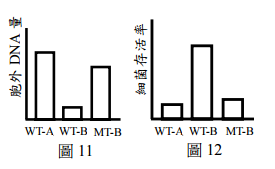 phpc21cgU