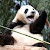 小瑄