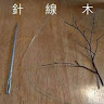 阿修