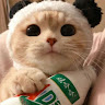 刘虹