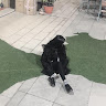林柏彤
