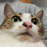 01鄭馨鈴