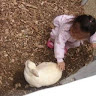 莊翎雯