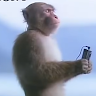 劉秉田