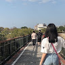 蔡承芯
