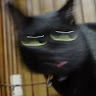 方方方