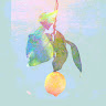 佑